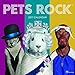 2017 Pets Rock Wall Calendar by 