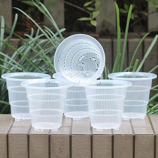 Meshpot 5 Inch Clear Plastic Orchid Pots With Holes 6 Pack Amazon.ca