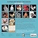 Extraordinary Chickens 2017 Wall Calendar