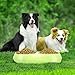 Luase Pet Dog Bowl Food Water Dish Feeder Stainless Steel Feeder Pet Dog Double Bowls(Medium, Green)