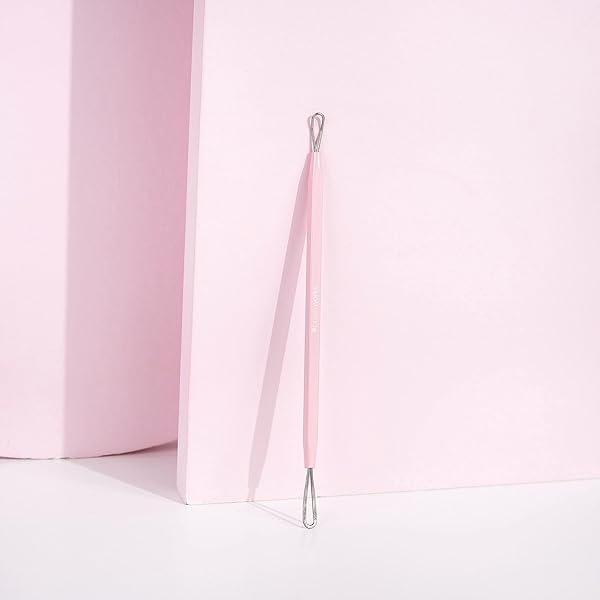BRUSHWORKS BLACK HEAD REMOVAL TOOL