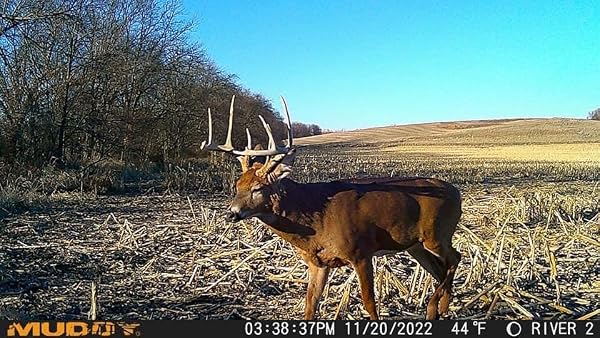 MUDDY MITIGATOR CELLULAR 24MP IMAGING TRAIL CAMERA WITH 80 FEET DETECTION AND FLASH RANGE AND 0.7-SECOND TRIGGER SPEED