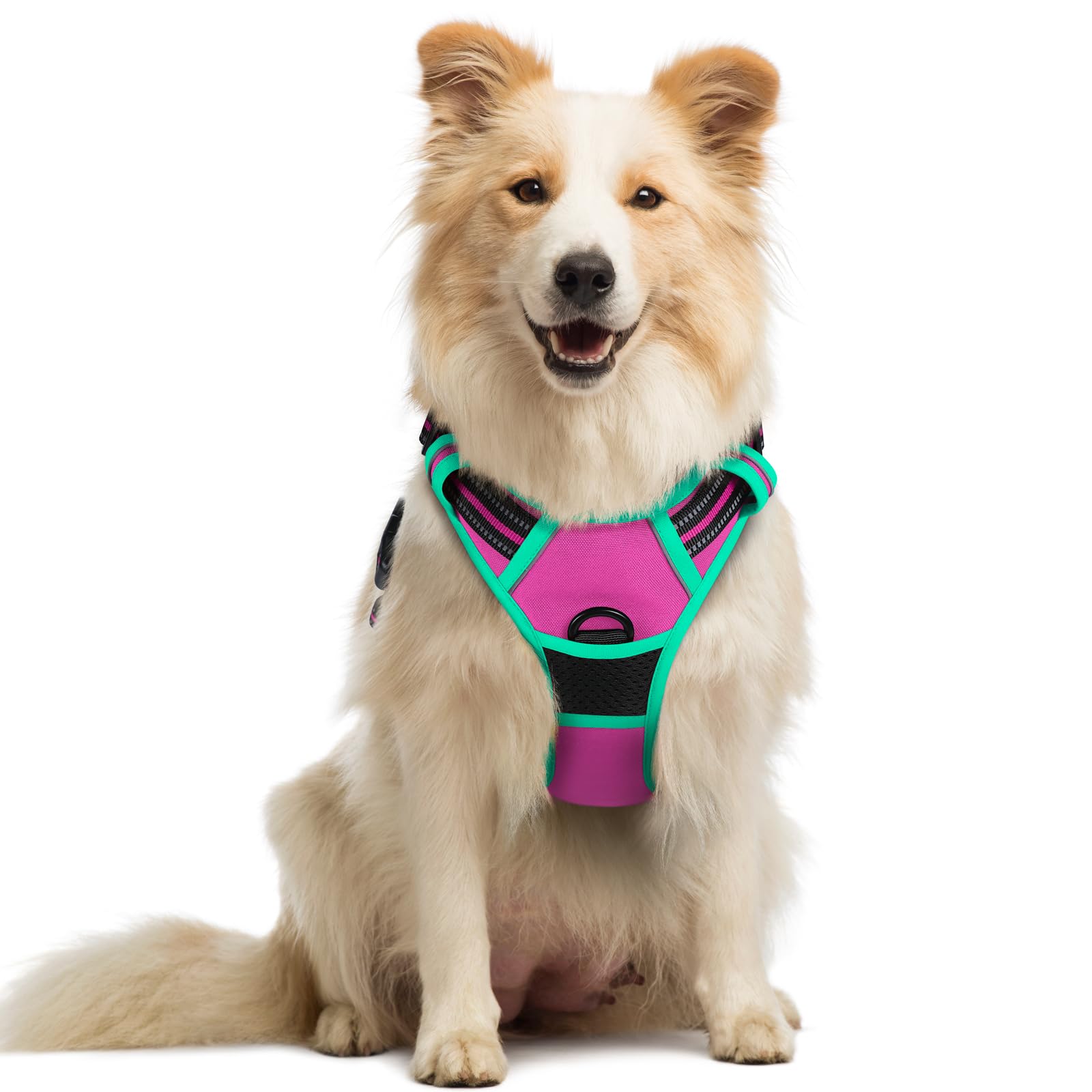 Photo 1 of rabbitgoo Dog Harness No Pull with 2 Leash Clips, Adjustable Soft Padded, Reflective Oxford No Choke Pet Vest with Easy Control Handle for Large Dogs, Hot Pink & Turquoise, M