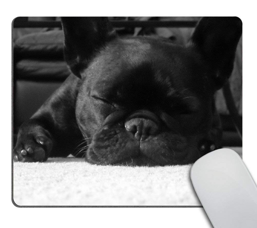 Wasach French Bulldog Mouse Pad, Mousepad (Dogs Mouse Pad) 9.5 X 7.9 Inch (240mmX200mmX3mm)