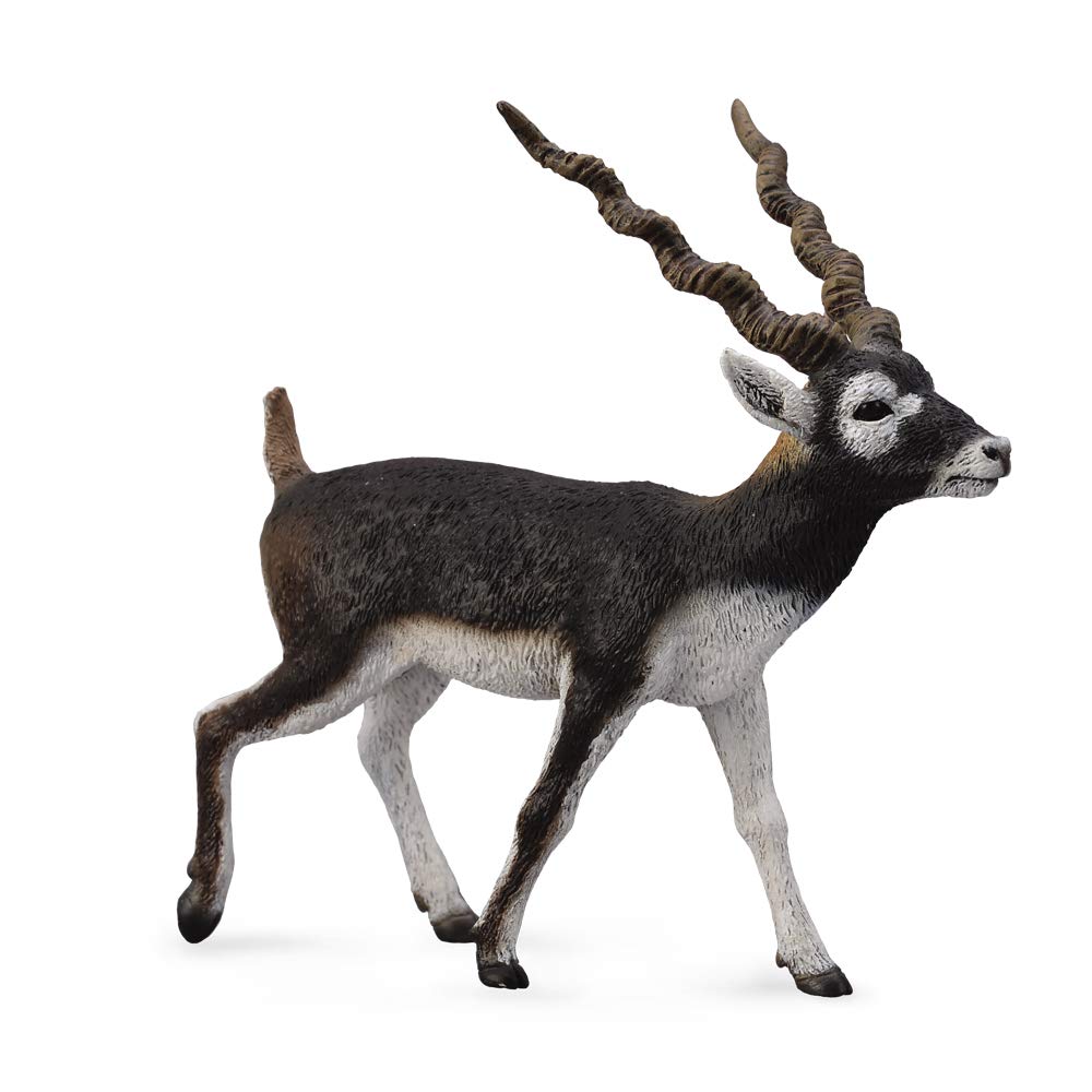 CollectA Blackbuck