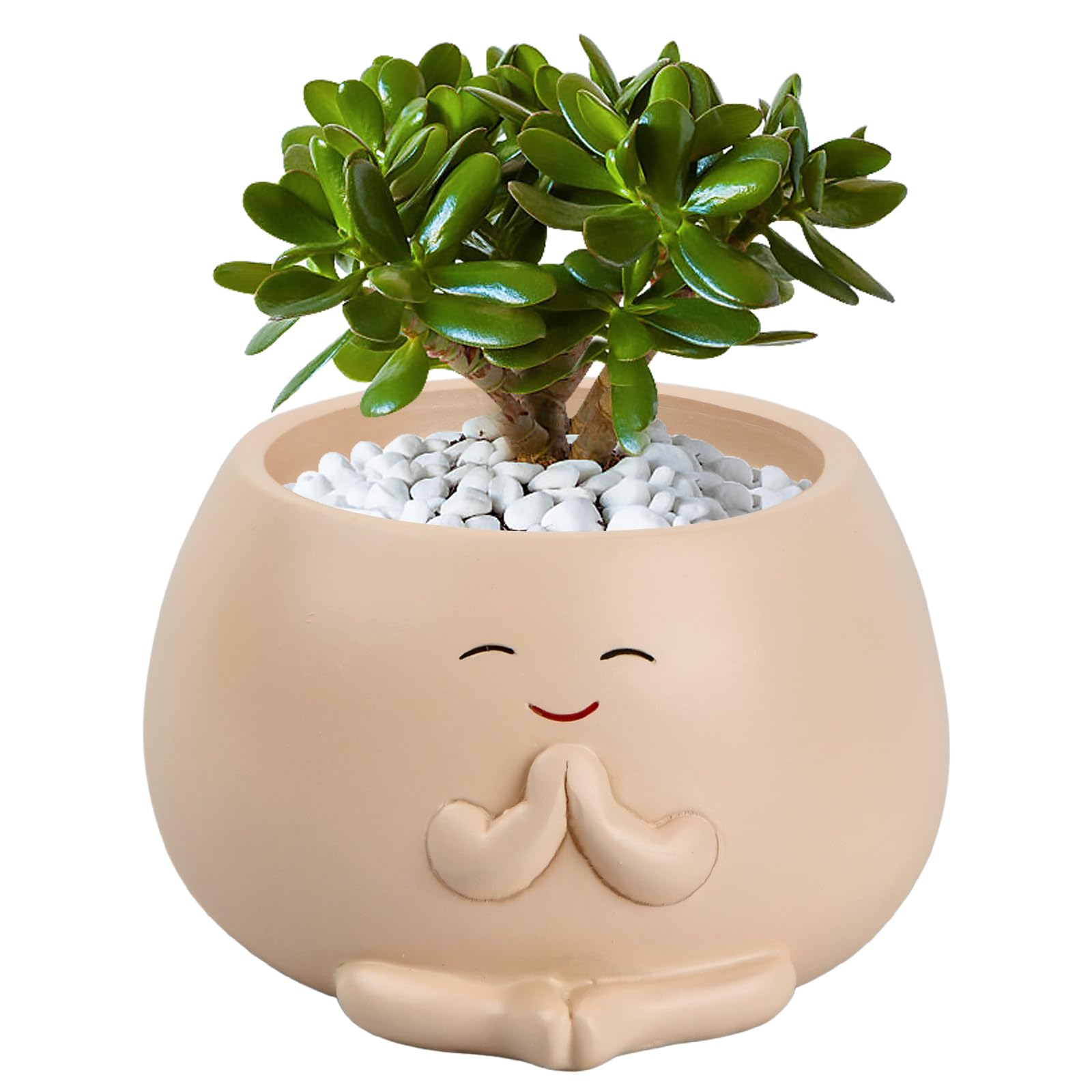 Naseom Garden Flower Pot, Smile Face Succulent Pots, Garden Resin Planter Flower Plant Pots, Office Home Plant With Smile Face, Succulent Planter for Home and Garden (Beige)
