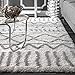 nuLOOM Renata Moroccan Shag Area Rug, 8x10, Grey