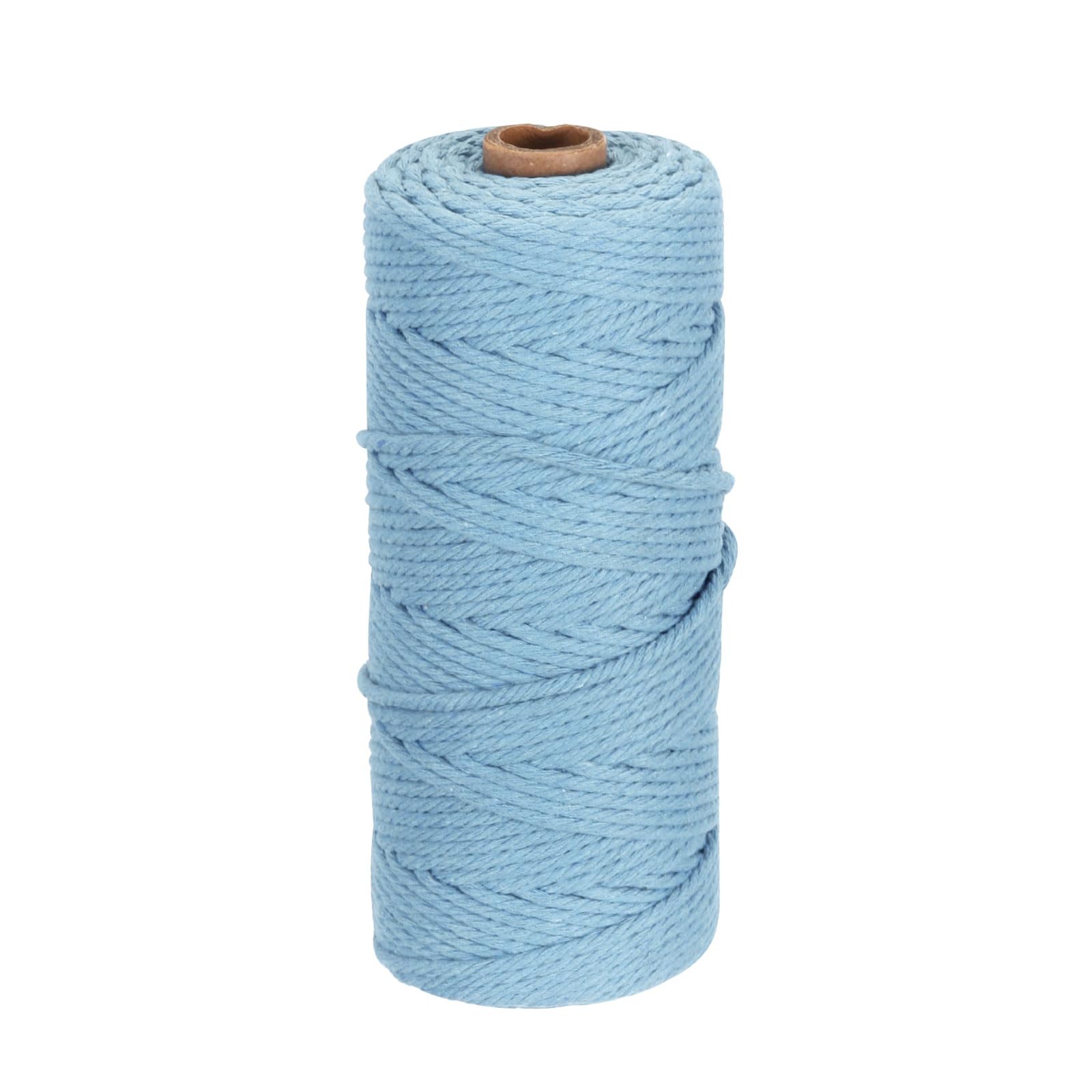 DMiotech 3mm x 100M (109 Yard) Elegant Blue Natural Cotton Macrame Rope, Wall Hanging Handmade 2 Strands Twisted Macrame Cotton Cord for Plant Hangers, Gift Wrapping Wedding