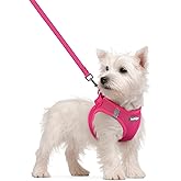 rabbitgoo Dog Harness Small Sized and Leash Set, Step in Soft Light Puppy Vest, Breathable Mesh Pet Harness, Reflective for Safe Easy Walking, Rose Red S