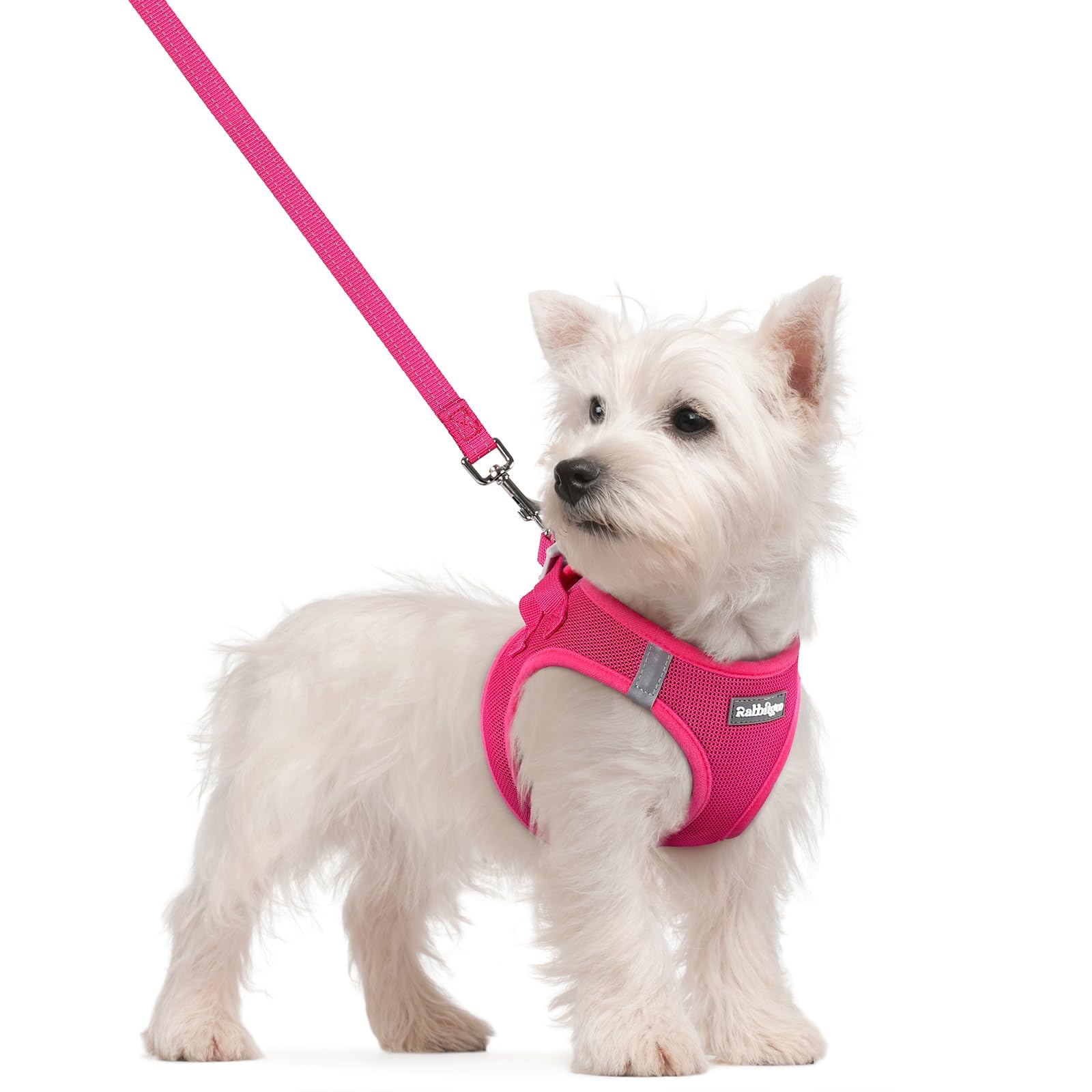 Photo 1 of rabbitgoo Dog Harness Small Sized and Leash Set, Step in Soft Light Puppy Vest, Breathable Mesh Pet Harness, Reflective for Safe Easy Walking, Rose Red S