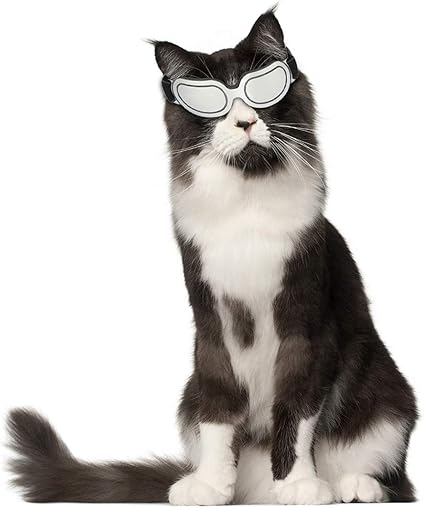 Victorie Lunettes Protection Uv Soleil Anti Vent Neige Pour Chien Chat Argent