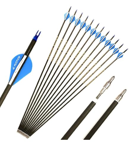 12pc 24-Inch Spine-350 Arrow Removable Tips Targeting Hunting Arrow Plastic Fletching 2 Inch Vane Carbon Arrows Compound Bow Recurve Bow Adult Youth