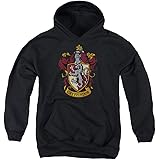 harry potter youth hoodie