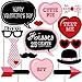 Big Dot of Happiness Valentine's Day - Photo Booth Props Kit - 20 Count