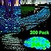 Sunnest 200 Pcs Glow in the Dark Garden Pebbles for Walkways/Garden/Path/Fish Tank/Aquarium, Decorative Stones(Green &Blue)