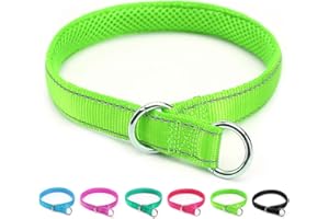 Mycicy Reflective Slip Dog Collar, Loop Dog Collar for 44-75 lbs Dogs Nylon Collars with Soft Padded for Pet Training– Green 1" W x 22" L (Fits Neck 15.7"-19.7")