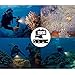 SHOOT Waterproof 30m Diving Light High Power Dimmable LED Underwater Fill Light for GoPro Hero 6/5/5S/4/4S/3+,Campark AKASO DBPOWER Crosstour SHOOT Camera with 1200mAh Built-in Rechargeable Battery