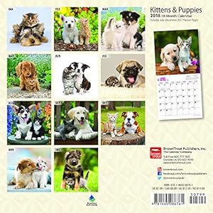 Kittens & Puppies 2018 7 x 7 Inch Monthly Mini Wall Calendar, Animals Cute Kittens (Multilingual Edition)