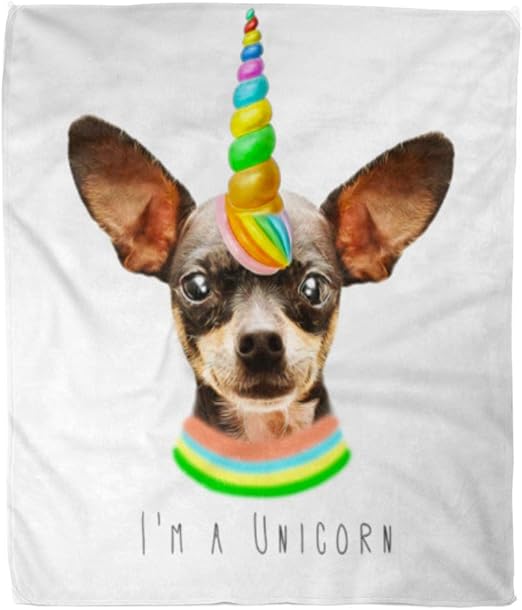 fawn chihuahua puppy