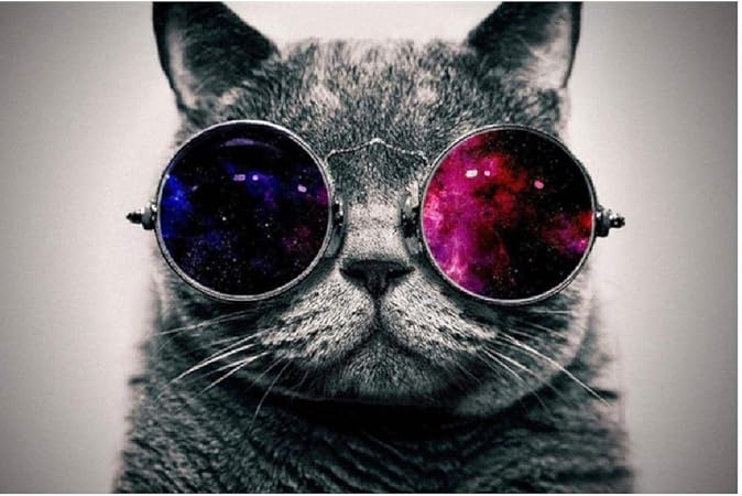 Puzzle Adulte 1000 Pieces 3d Puzzles Porter Des Lunettes Chat Rose Lunettes Rouge Chat Diy Cadeau D Art Special Loisirs Jeu Jouet Decoration De La Maison Amazon Fr Cuisine Maison