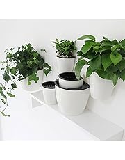 Amazon.es: Macetas colgantes: Jardín