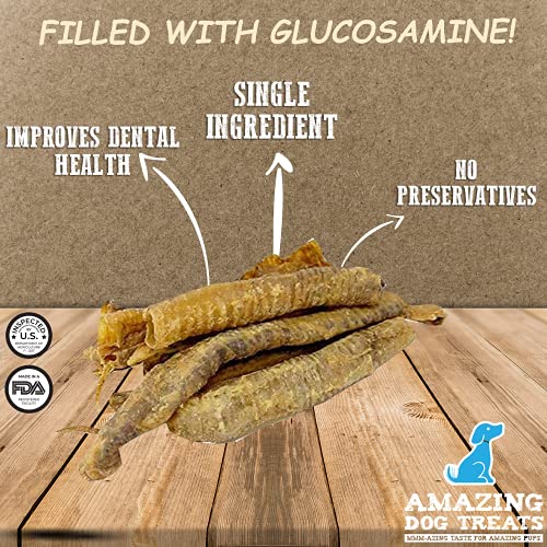 Amazing Dog Treats Lamb Trachea (1820 Count 10 oz) Trachea Dog