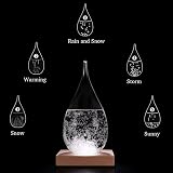 Coocnh Storm Glass Weather Predictor Barometer Crystal Bottle Decorative view 4