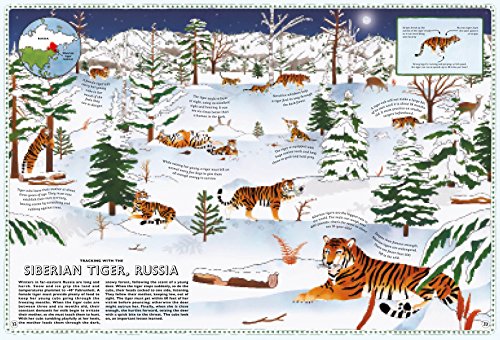 Atlas of Animal Adventures: A collection of nature's most unmissable events, epic migrations and extraordinary behaviours - Thumbnail 2