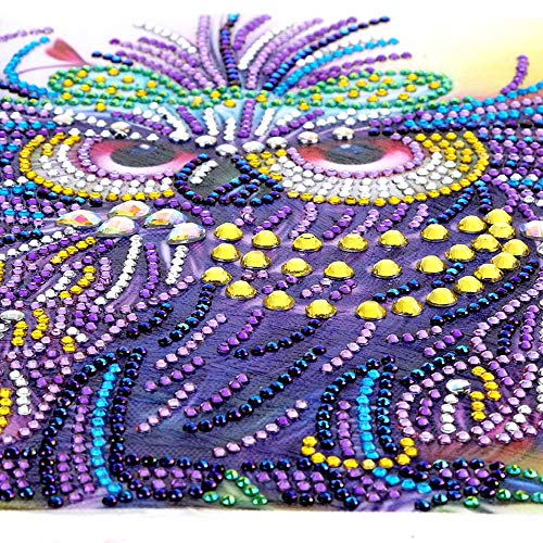Staron  Newest 5D Diamond Painting Kits - Rhinestone Special Shaped 5D Drill Cross Stitch Craft Kits Picture Paint with Diamonds Home Wall Arts Decor Mosaic Making (Owl Style 2) - Thumbnail 3