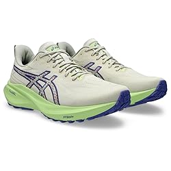 ASICS Men's GT-2000 13 Trail Running