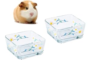 Acsist 2 Pack Glass Hamster Food Bowl Guinea Pig Food Dish Bowl Bunny Feeding & Water Bowls for Small Animals Syrian Hamsters Gerbil Ferret Mice Rats Rabbit Chinchilla Hedgehog (White Daisy)