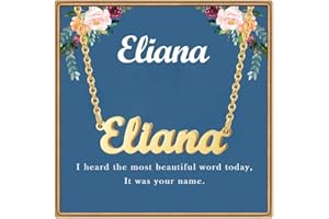 Ldurian Name Necklace Personalized | Name Pendant Necklace Christmas Gifts | 14K Gold Dainty Name Plate Necklaces Birthday Jewelry Gift for Teen Girls