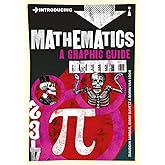Introducing Mathematics: A Graphic Guide