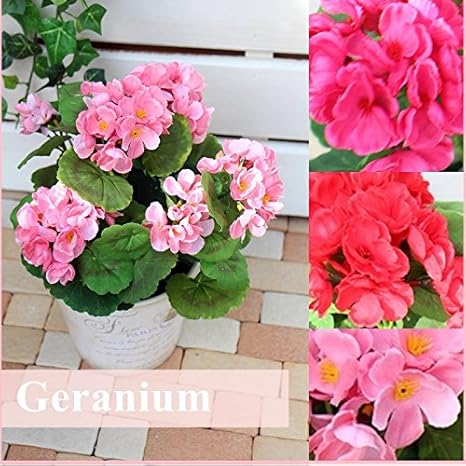Amazon 贅沢なリアル感 まるで本物そっくり ゼラニウムインテリアポット ゼラニウム リアル 造花 ポット プランター 可愛い お洒落花器 選べる3色 領収書発行 贈り物 代引き可 赤 ピンク ビューティー 観葉植物 人気 屋外対応 ビューティー 観葉植物 オンライン通販