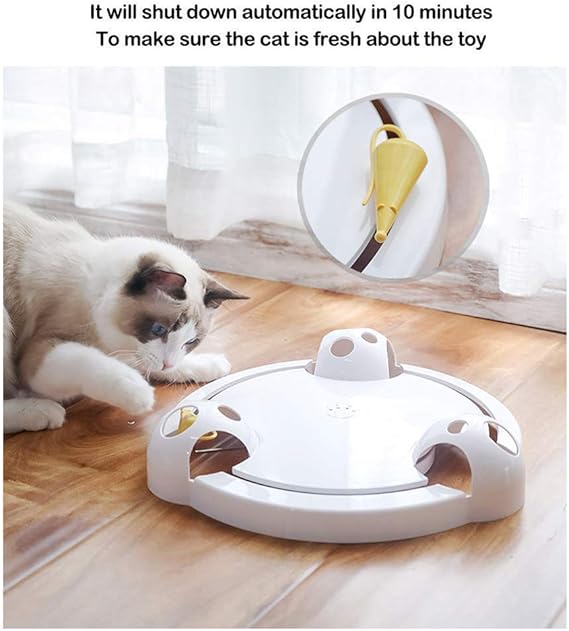 petsafe pounce