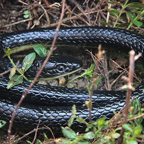 3 Nakimo+Realistic+Rubber+Garden+Practical