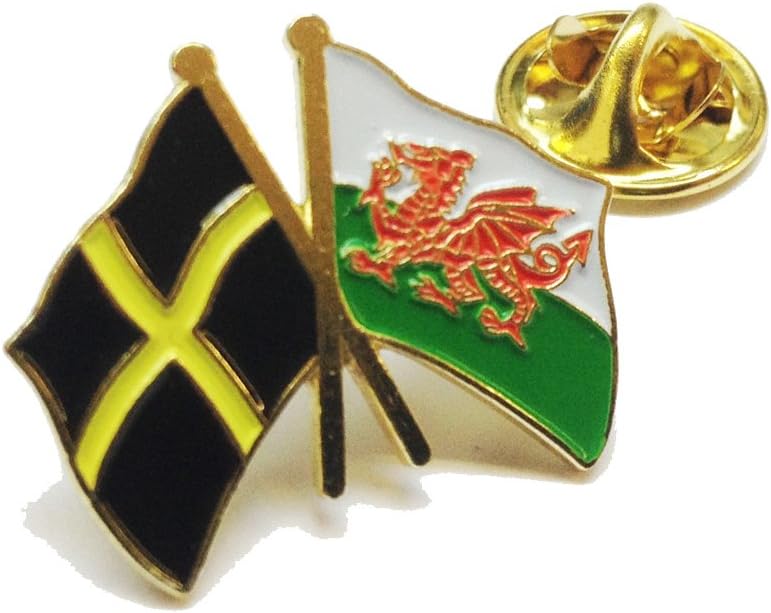 Wales Dragon Flag & St Davids Flag Pin Badge