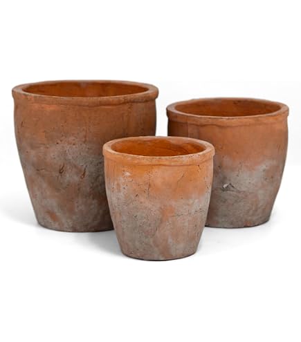 Amazon.com : Napa Home & Garden, MIA POTS, Set of 2 : Patio, Lawn & Garden