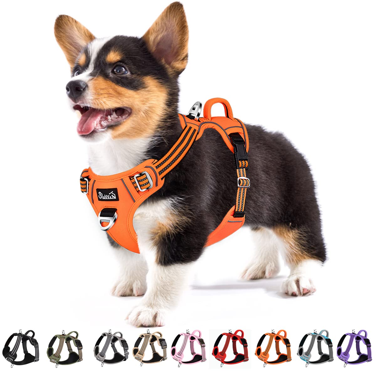 Eyein Small Dog Harness, Anti Pull Adjustable Heavy Duty Pet Vest with 2 Clips, Escape Proof Puppy Harness with Soft Padded Handle Reflective for Outdoor Training Walking โ image 1