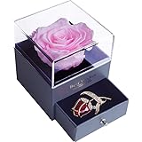 Forever Pink Rose Jewelry Gift Box, Enchanted Real Rose with Ruby Rose Brooch,Handmade Eternal Flower,Preserved Rose for Women,Wife,Girlfriend,Mum on Valentine's Day, Anniversary,Birthday,Mother's Day