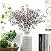 Crt Gucy Artificial Flowers 9Pcs 21