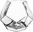 CYS EXCEL Glass Geometric Vase, Prism Vase, Honeycomb Vase (H-6", Open 3", 1PC)