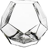 CYS EXCEL Glass Geometric Vase, Prism Vase, Honeycomb Vase (H-6", Open 3", 1PC)