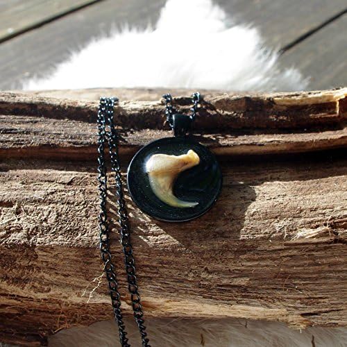 Black Bobcat Claw Necklace - Real Bobcat Claw