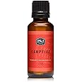 P&J Trading Fragrance Oil | Campfire Oil 30ml - Candle Scents for Candle Making, Freshie Scents, Soap Making Supplies, Diffuser Oil Scents