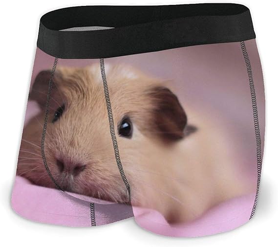 Amazon Co Jp ボクサーパンツ メンズ ハムスター ボクサーブリーフ ボクサーパンツ メンズ 下着 通気 吸汗 速乾 抗菌防臭 ファッション
