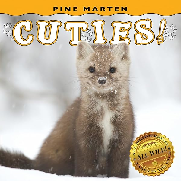Raccoon Dogs (Odd but Adorable Animals): Daniels, Ruby