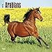 Arabians 2018 12 x 12 Inch Monthly Square Wall Calendar, Animals Horses