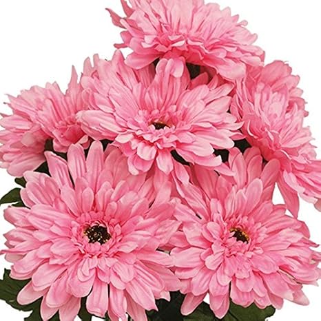 Amazon Com Cuscus 28 Gerbera Daisy Flowers Bush Wedding Vase