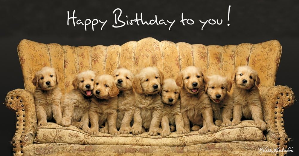 Keith Kimberlin Carte D Anniversaire Chien Golden Retriever Chiot Sur Un Canape Panoramique Carte 11 X 22 Cm Amazon Fr Fournitures De Bureau